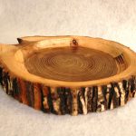 پیش دستی از تنه کاج