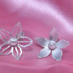 Flowers came, Spring came